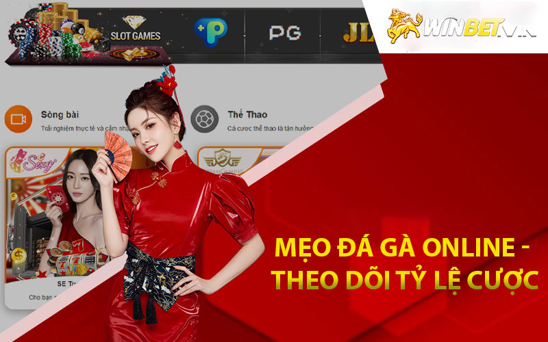 Mẹo đá gà online - Theo dõi tỷ lệ cược